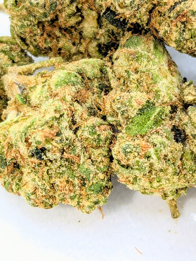 Flower | Dank Leaf Co